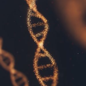 Odnawianie kodu DNA